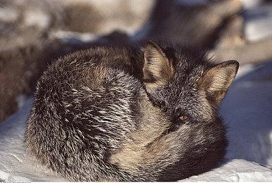 多人平台格斗游戏《Byte Breakers》Steam页面开放 发行日期待定