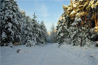 《北欧女神：极乐世界》试玩Demo已上架PS平台